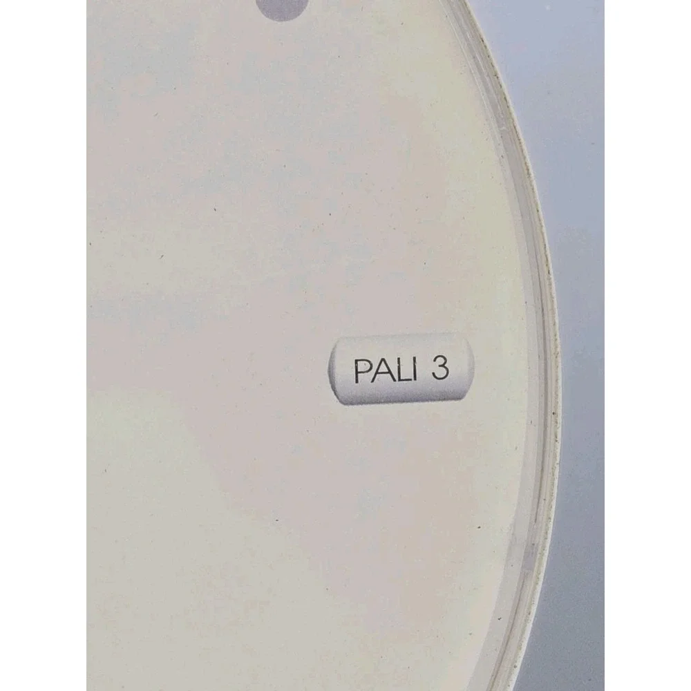 Invega Paliperidone Schizophrenia Pharma Promo Wall Clock Janssen 2007 U1‎